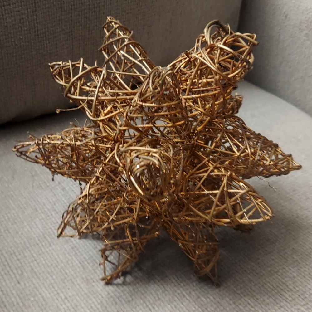 Rustic Twig Star Accent Piece